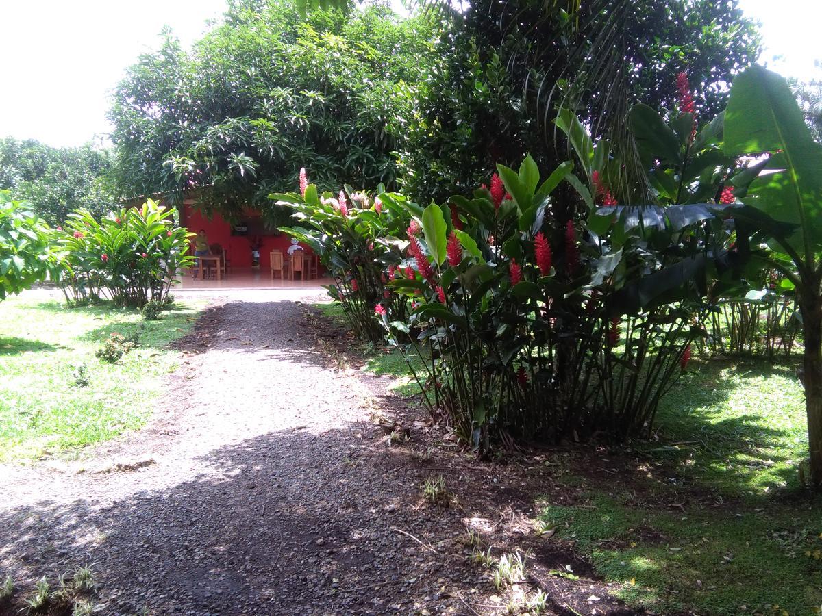 Paraiso Volcano Lodge Guayabo  Buitenkant foto