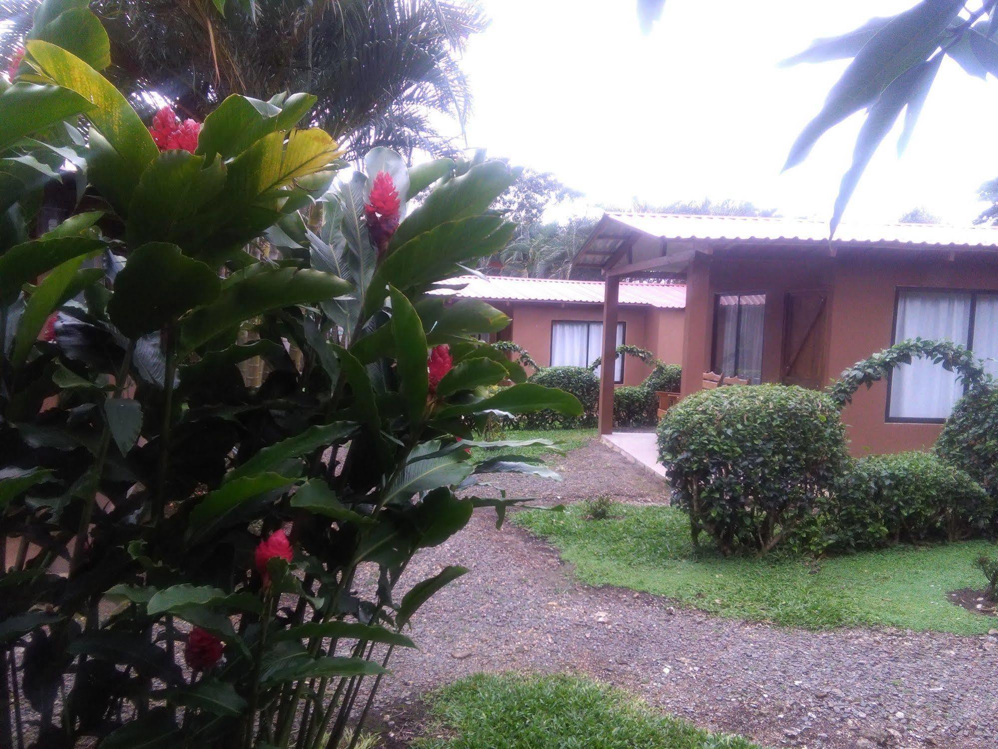 Paraiso Volcano Lodge Guayabo  Buitenkant foto