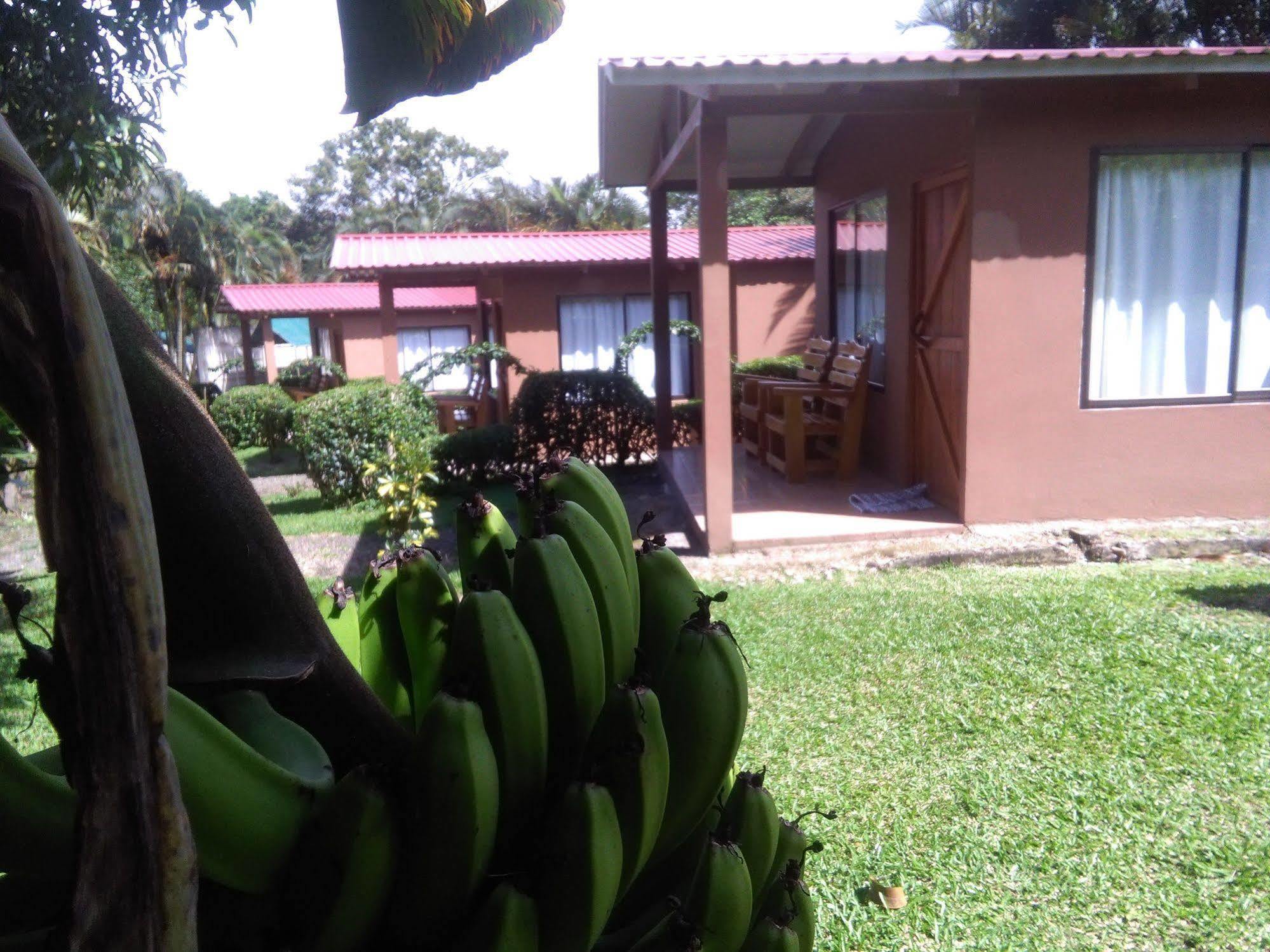 Paraiso Volcano Lodge Guayabo  Buitenkant foto